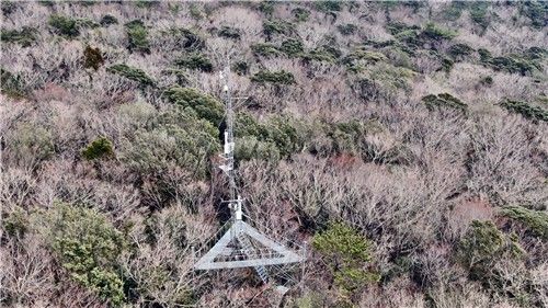 제주 산림에 설치된 플럭스타워