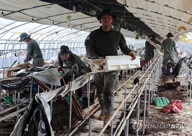 수해복구에 나선 31사단 장병