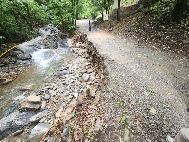 천안 광덕사 호두나무 보호구역 내 석축 및 진입로 모습 