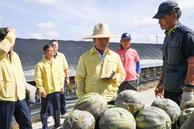 규암면 수박 시설하우스 피해 현장 찾은 박정현 부여군수 