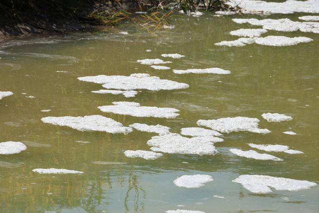 포항 하천서 발생한 하얀 거품과 침전물
