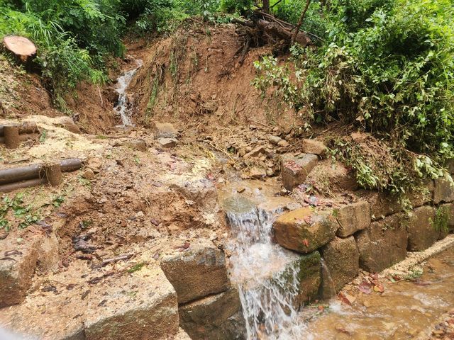 고령 지산동 고분군 피해 모습 