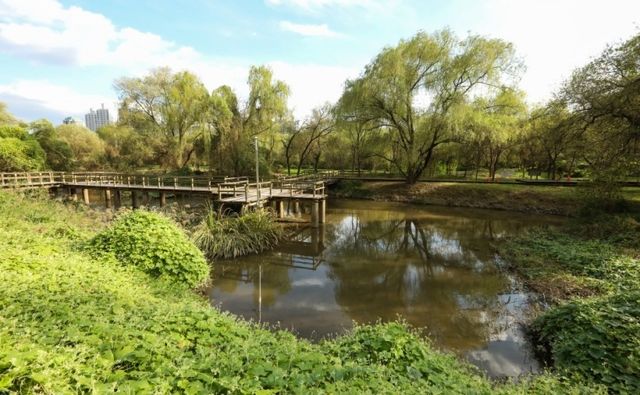 여의도 샛강 생태공원