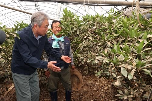 폭우 피해현장 찾은 강호동 농협중앙회장