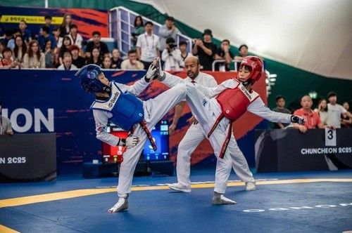 태권도 오픈대회