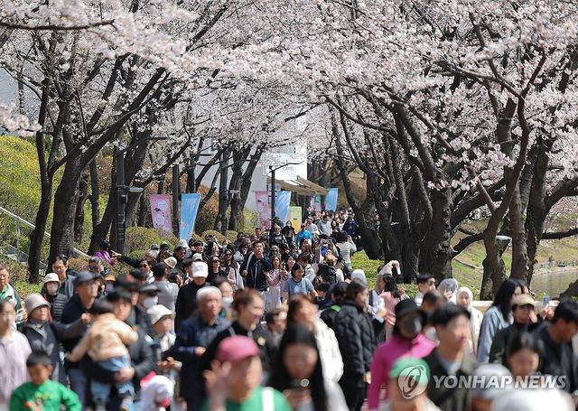 벚꽃 구경에 몰린 인파