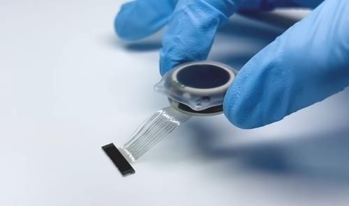 뉴럴링크의 뇌-컴퓨터 인터페이스(BCI) 칩 '텔레파시'