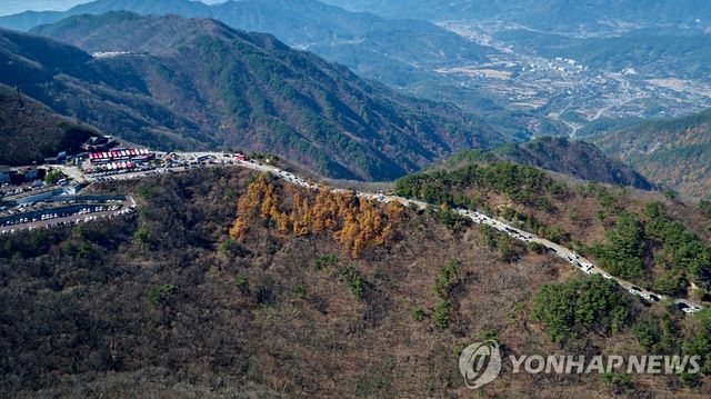 지리산 성삼재 [전남 구례군 제공]