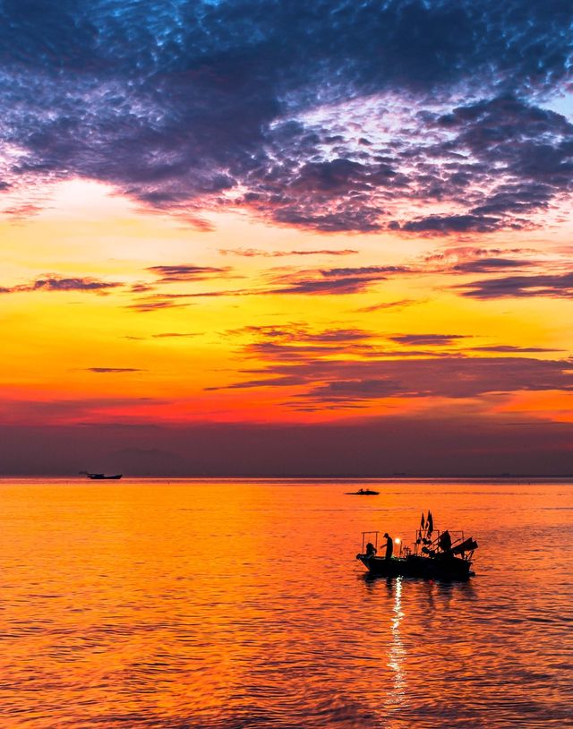 2023년 기록적인 해양 폭염