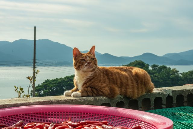 영화 '좀비딸' 속 한 장면