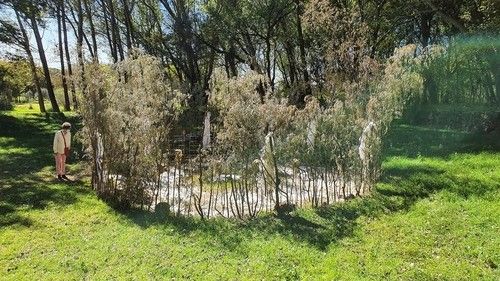 팬데믹 때 남아공 전통적 치료장소를 형상화한 작품. 흰 천과 동물 해골이 걸려있다 