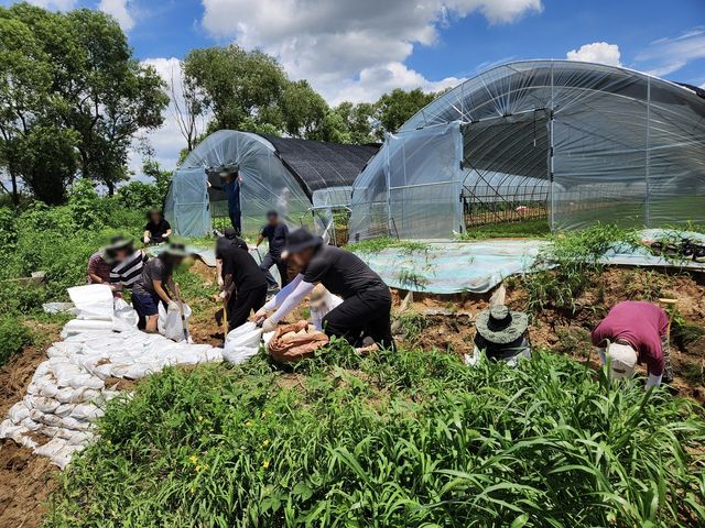 수해현장에 긴급 투입된 사회봉사명령 대상자들 [법무부 제공. 재판매 및 DB 금지]