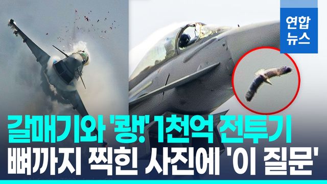 [영상] 1천억 전투기, 갈매기와 '쾅'…조종석 '펑', 뼈까지 찍힌 사진에 - 2