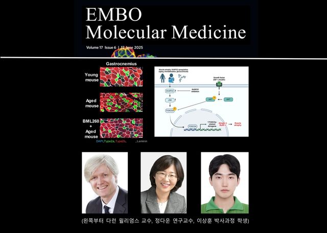 다런 윌리엄스 교수 연구팀 논문 이미지
