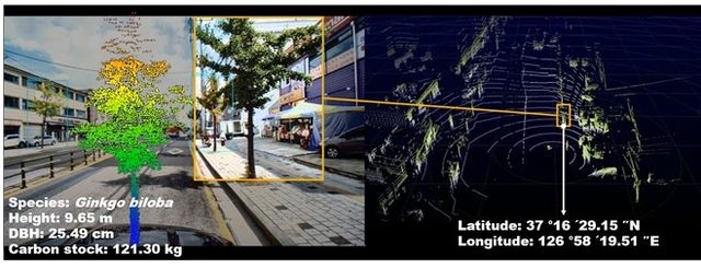차량 활용 가로수 탄소 저장량 탐지