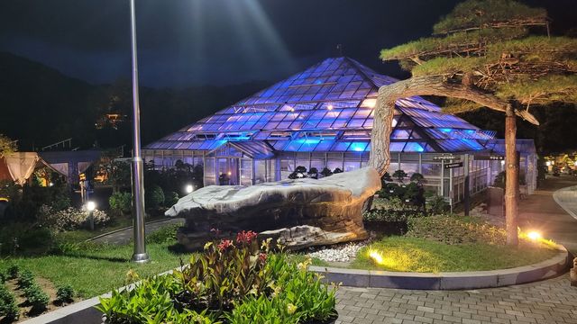 양구수목원 야간 개장