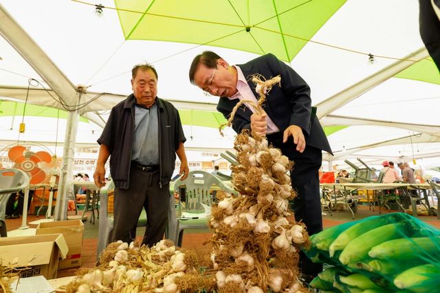 마늘 살펴보는 김문근 군수