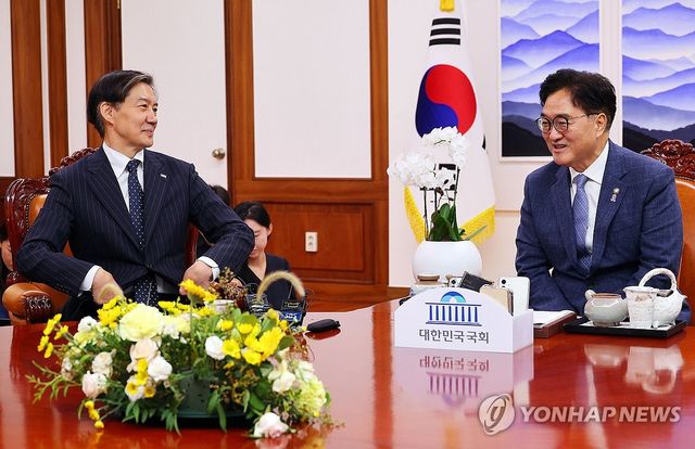 우원식 국회의장(오른쪽)과 조국 전 대표