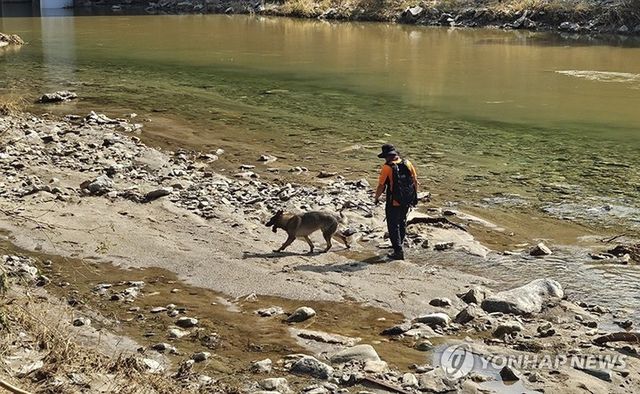 가평 수해 지역서 수색 중인 강원소방 구조견 '가온'