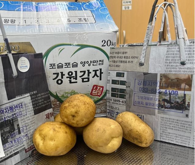 신문지 가방에 담을 지역에서 생산된 감자