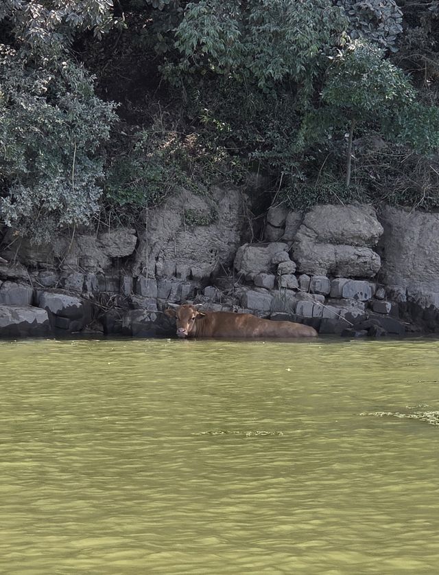 진주에서 발견된 소