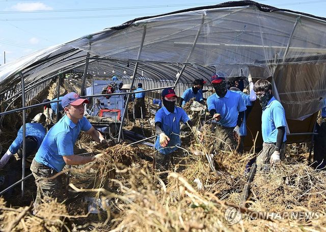 공군 학생 조종사, 산청 피해복구 작업