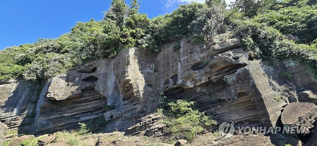 화산재 퇴적 제주 해변 응회암층