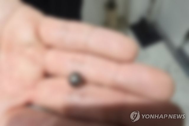 인천 사제총기 살해 사건에 쓰인 탄환