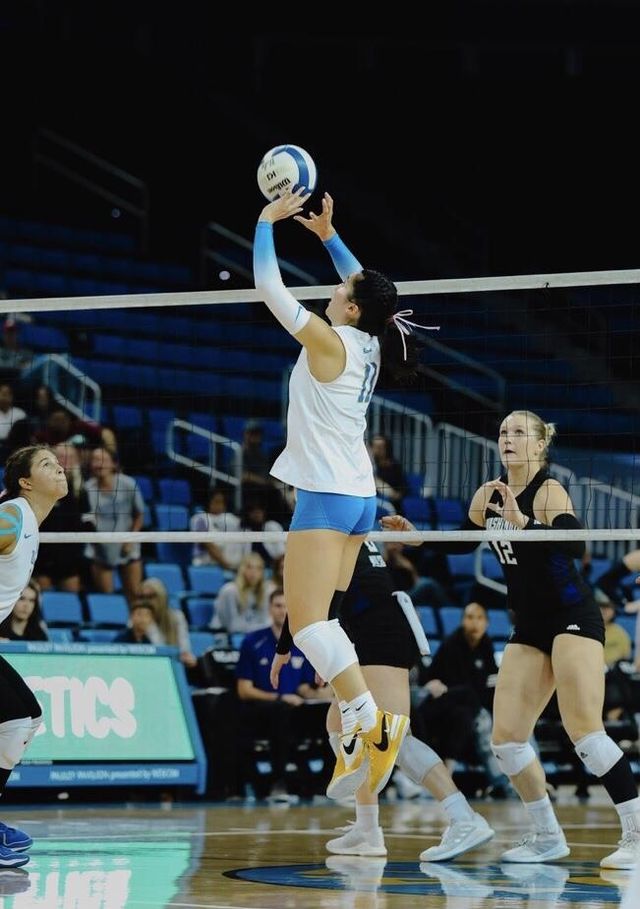 대학 선수 시절 토스하는 오드리 박