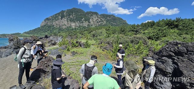 황우치 해변서 염생식물 설명 듣는 탐방객들