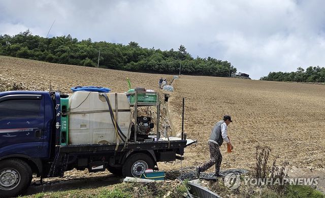 고랭지 배추밭에 등장한 물차…강릉 안반데기