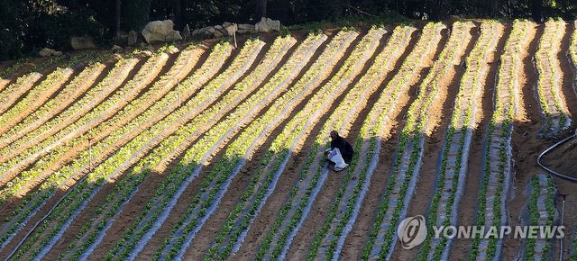 "불볕더위 오기 전에" 양달과 응달의 경계