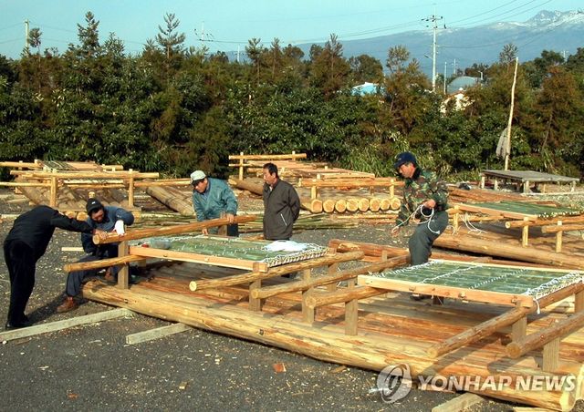 제주 테우 제작 한창