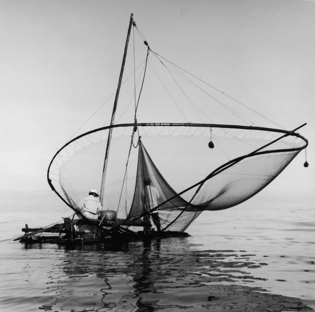 테우 자리잡이 모습