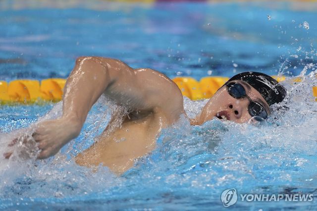 4연속 메달을 목표로 역영하는 황선우