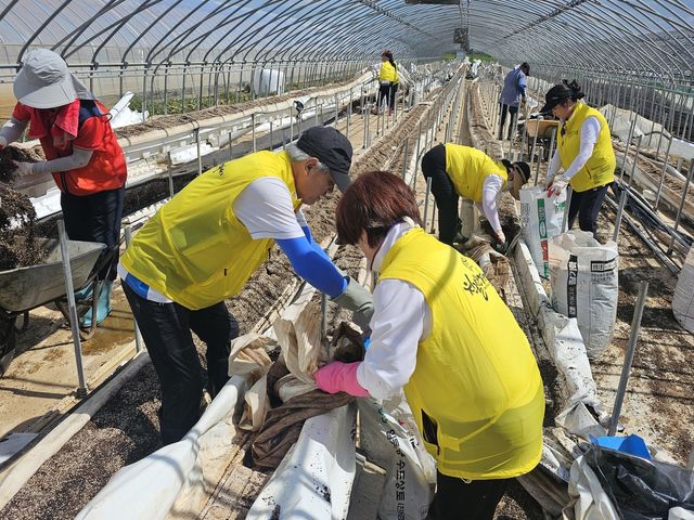 자원봉사자들이 충남 홍성군의 수해 피해 비닐하우스에서 토사를 제거하는 모습