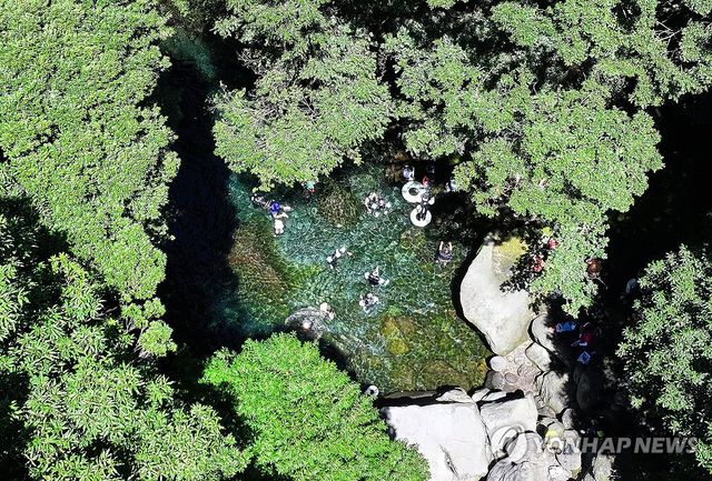 돈내코 계곡의 여름