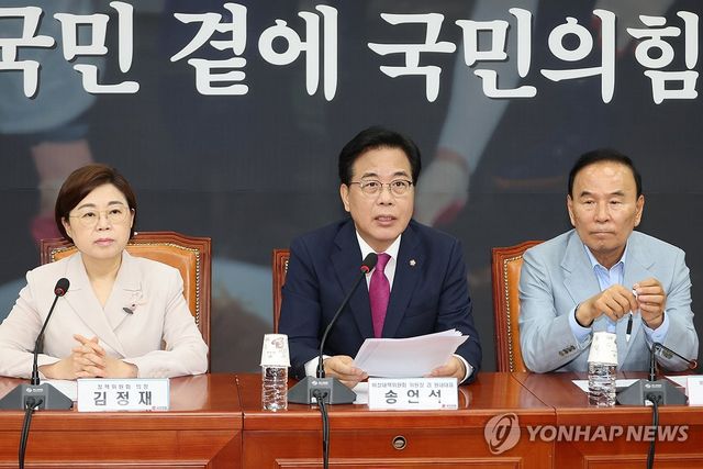 국민의힘 비상대책위원회의