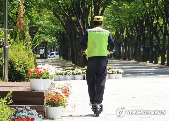 폭염경보 내린 대전 한 공원