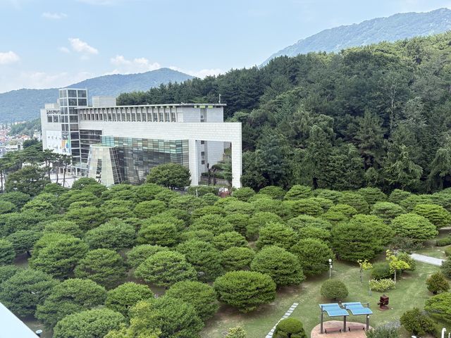 경남도청 소나무숲 '송림포' 전경
