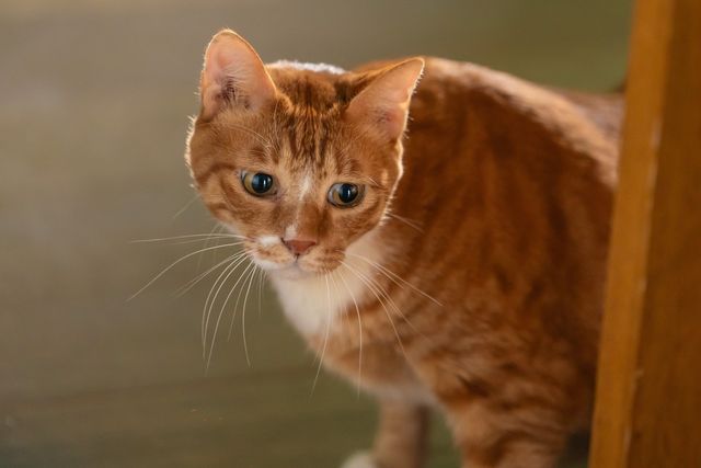 영화 '좀비딸' 속 한 장면