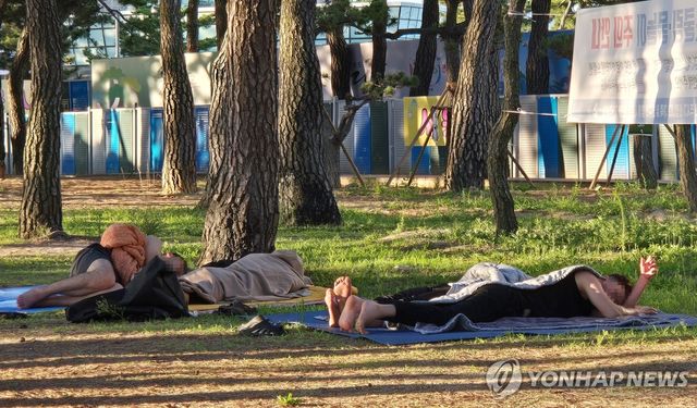 열대야 피해 해변 소나무 숲에서 꿀잠