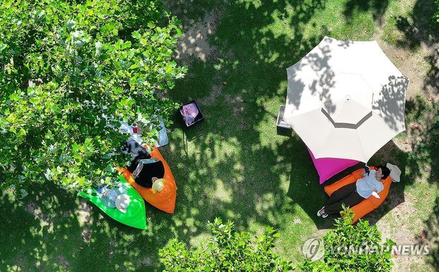 '나무 그늘에서 독서 어때요?'…수북수북 야외도서관