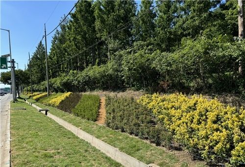 강변북로 관문 녹지