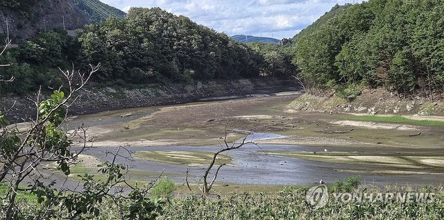 전국은 물난리인데 강릉은 물 부족 심각
