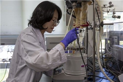 촉매 합성 실험하는 연구팀 