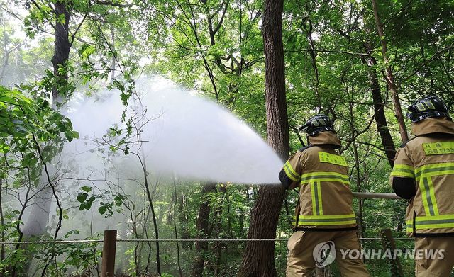 물뿌리면 죽어요!...러브버그 방제