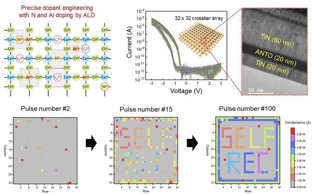 [영남대 제공.재판매 및 DB 금지]