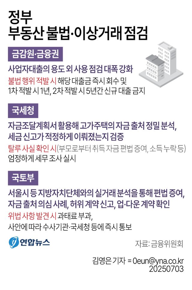 정부 "사업자대출 우회사용·고가주택 자금출처 등 집중 점검" - 2