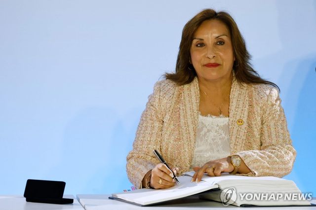 디나 볼루아르테 페루 대통령